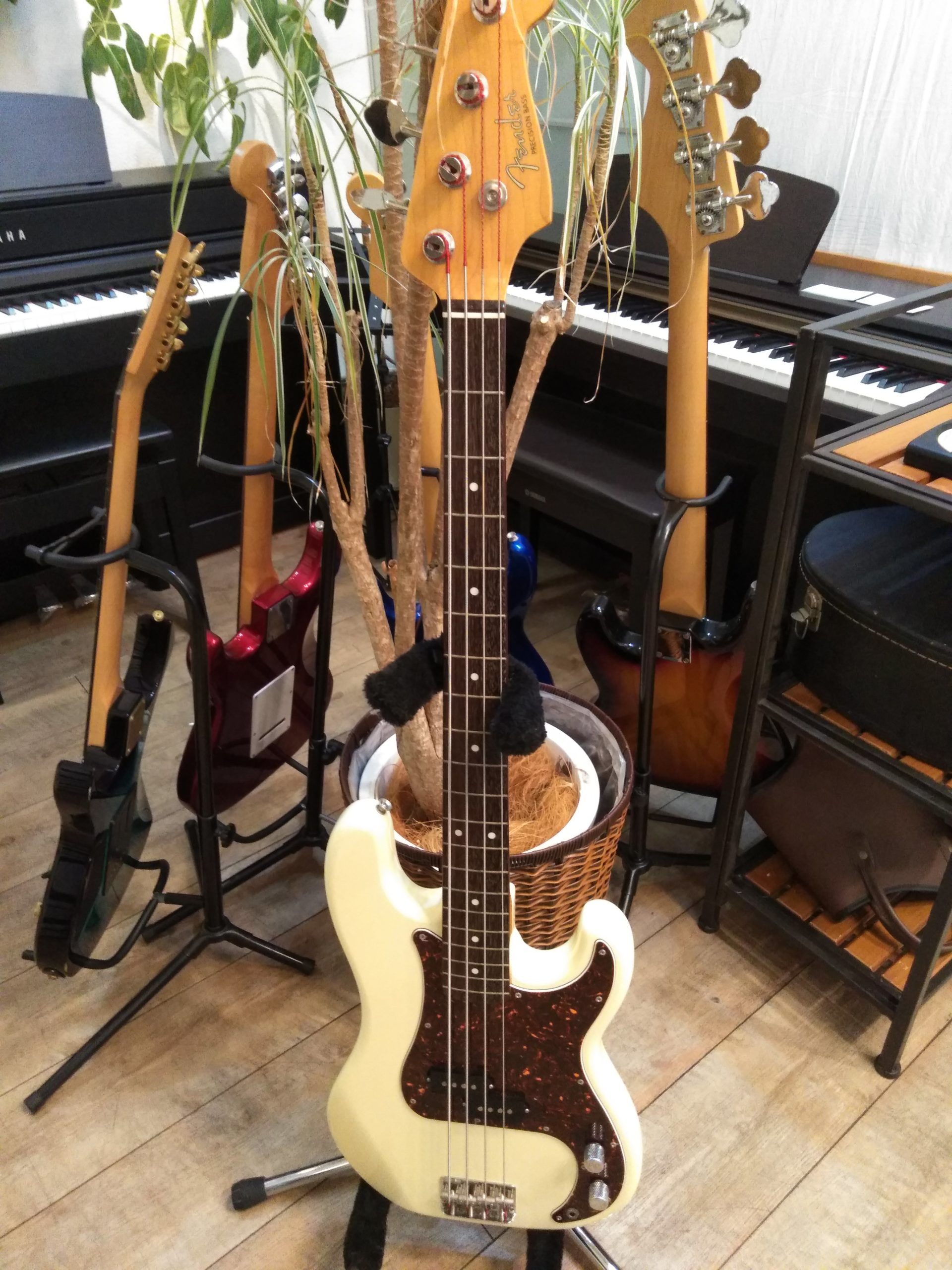 Fender Japan フェンダージャパン Precision Bass PB-62-55 1981年頃