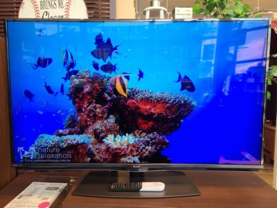 SHARP /シャープ　AQUOS / アクオス　50V型 4K液晶テレビ　2020年製　4T-C50BN1