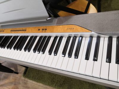 CASIO Privia Electronic Piano Digital 