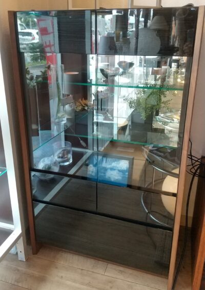 MORITA Curio case