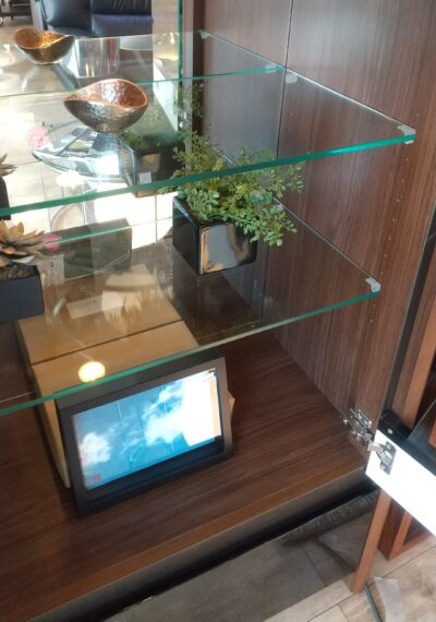 MORITA Curio case 2
