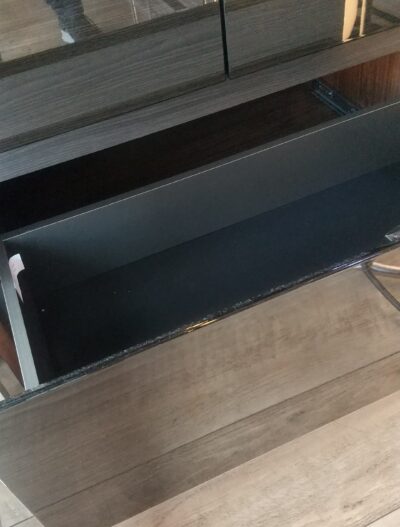 MORITA Curio case 4