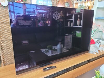 LG エレクトロニクス　4K対応 有機EL 55V型液晶テレビ　Alexa搭載　ドルビーアトモス　OLED55E9PJA　2019年製