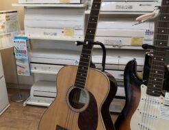 stafford Acoustic guitar 3