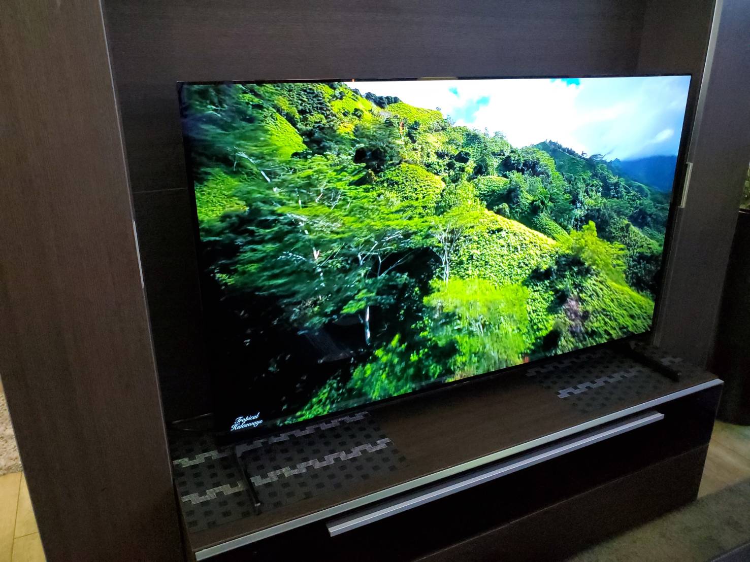 ☆SONY ソニー BRAVIA ブラビア 55型 有機ELテレビ 2021年製 高年式 高 
