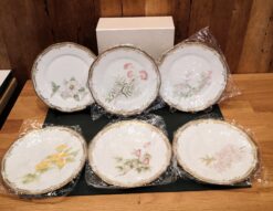 noritake gala contessa plate set