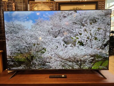 Hisense / ハイセンス　4Kチューナー内蔵　65V型 LED液晶テレビ　NEOエンジンLite搭載　2022年製　65E6G