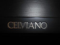 AP-650M-CASIO-CELVIANO-3