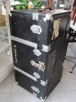 trunk-1