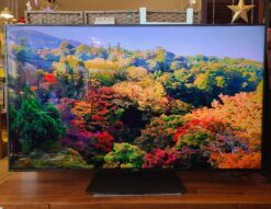 SHARP / シャープ　AQUOS / アクオス　70V型　4K内蔵 液晶テレビ　2020年製　4T-C70CV1　ネット対応　N-Blackパネル