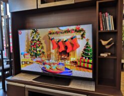 シャープ SHARP 4T-C50DN2 50インチ TV テレビ