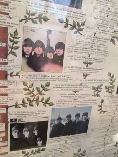 THE BEATLES レコードコレクション ツリーポスター THE BEATLES STORY 大型 45rpm アートポスター 4
