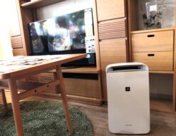 SHARP シャープ 2024年製 CM-R100 プラズマクラスター7000 コンプレッサー式 冷風 衣類乾燥 除湿機 コンパクトクール