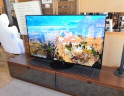 Panasonic VIERA ビエラ パナソニック 55V型 4Kダブルチューナー内蔵 有機EL テレビ TH-55JZ1000 55インチ液晶テレビ