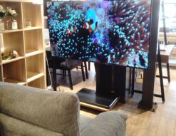 SONY 2017年製 KJ-65A1 BRAVIA 大画面 65インチ 有機ELテレビ