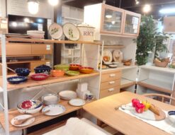 BECK フランス LAMAS イタリア FESTIN COQUIN 南フランス ハンドメイド 民芸品 食器 8