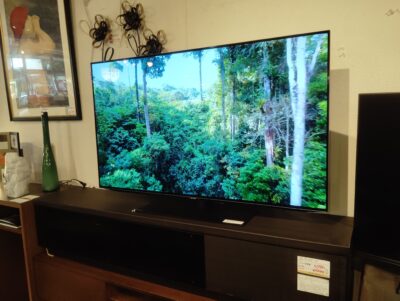 SHARP 2024年製 4T-C48EQ2 AQUOS OLED 無線LAN 48型 4K 有機ELテレビ