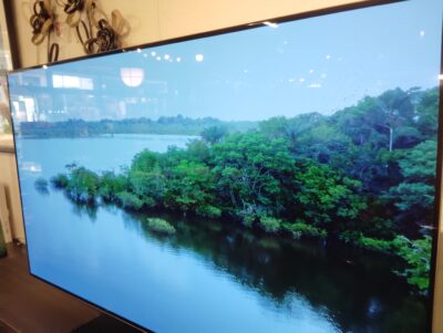 SHARP 2024年製 4T-C48EQ2 AQUOS OLED 無線LAN 48型 4K 有機ELテレビ 2