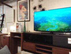 SHARP 2024年製 4T-C48EQ2 AQUOS OLED 無線LAN 48型 4K 有機ELテレビ 3