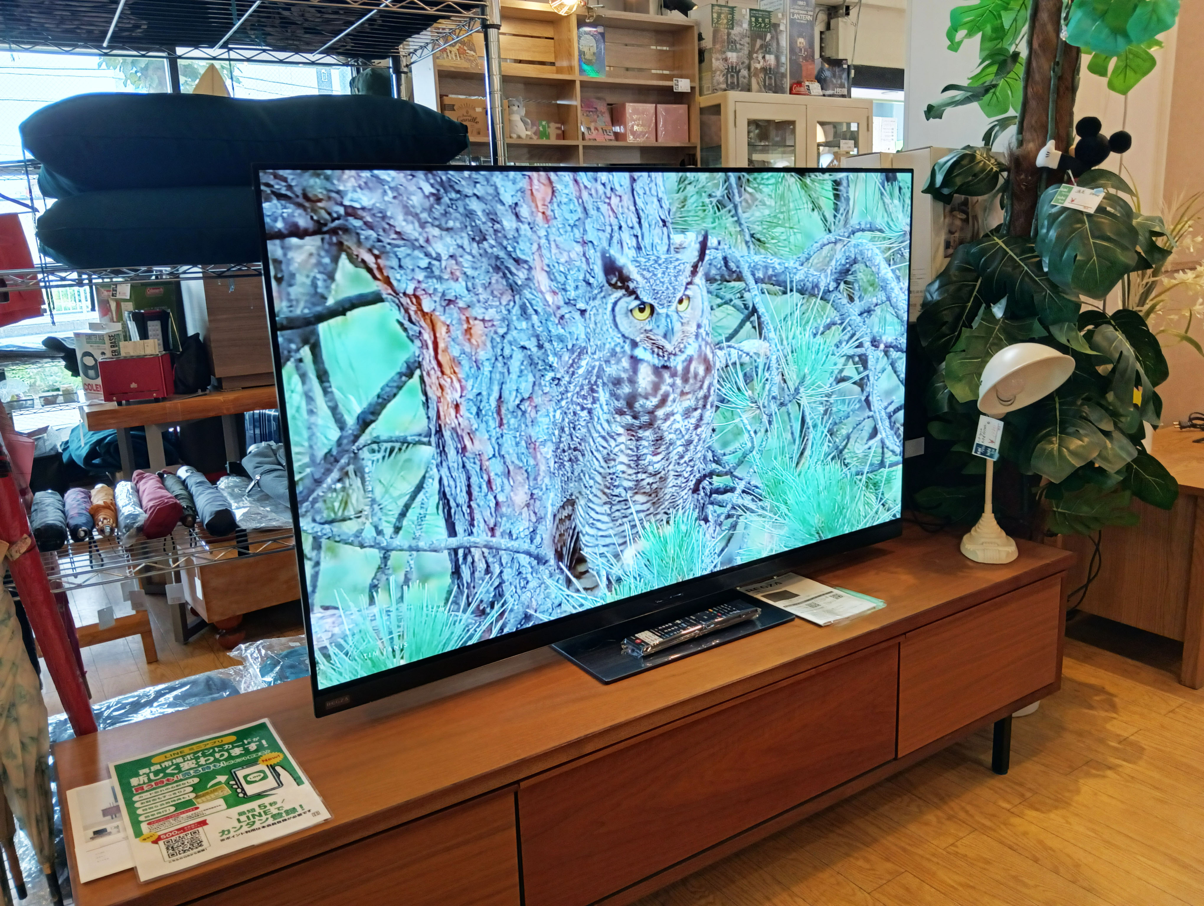 中古】REGZA レグザ タイムシフトマシン搭載 4K有機ELテレビ 55V型